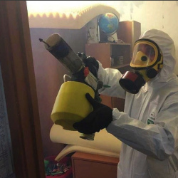 Уничтожение клопов в квартире. Котельнич